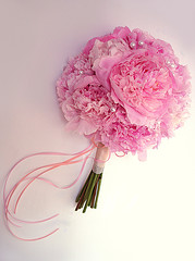 bridej9
