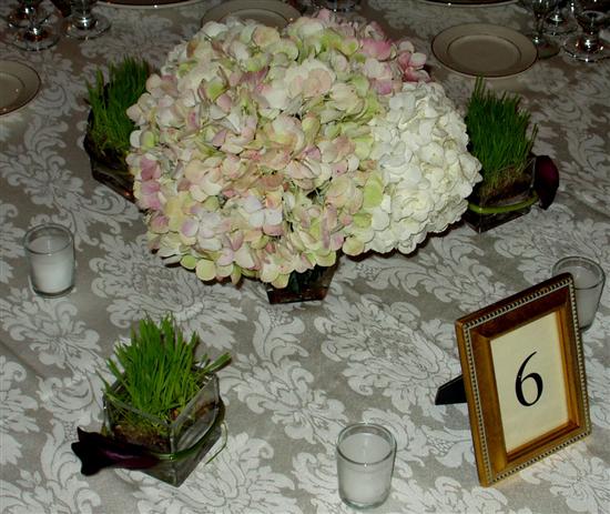 bridej9