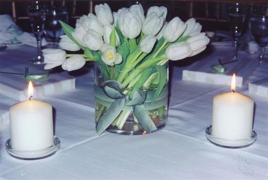 bridej9