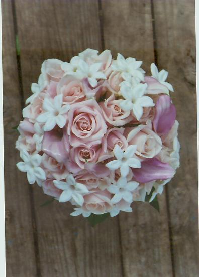 bridej9