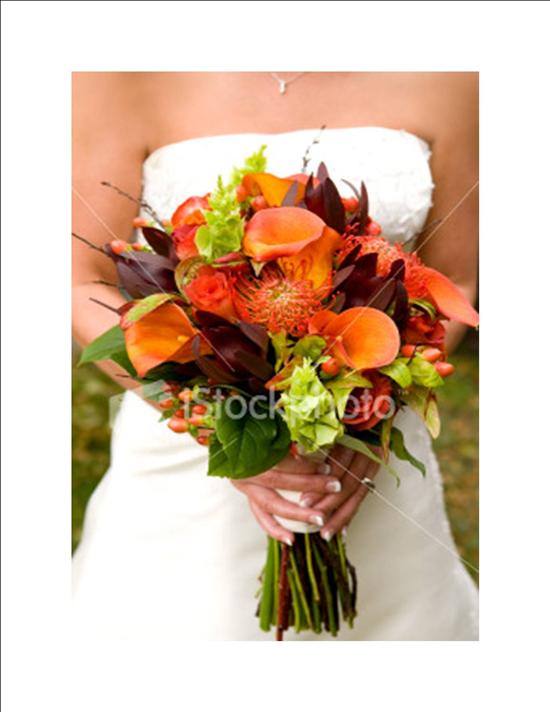 OctBride2009