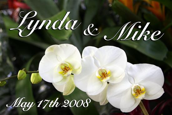 minibride08