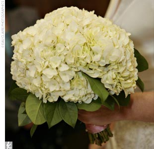 enewedding