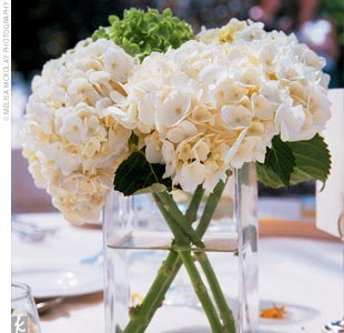 enewedding