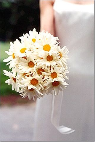 FLaCaTaCa