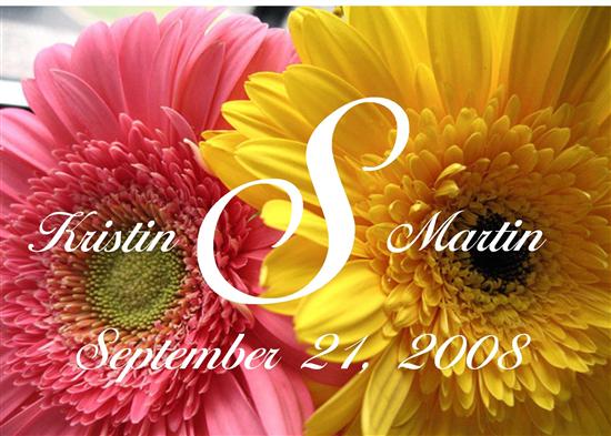 mRm2008