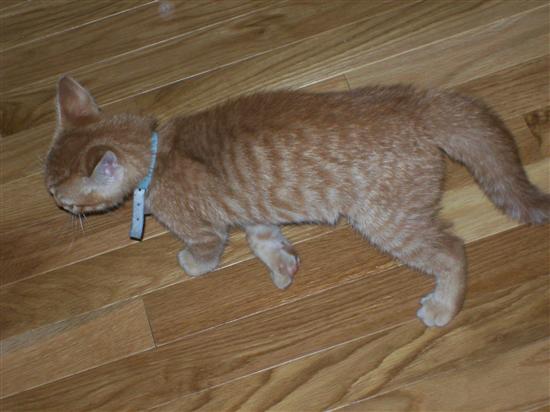 stinenandy2010