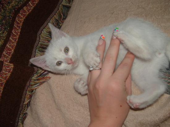 mRm2008