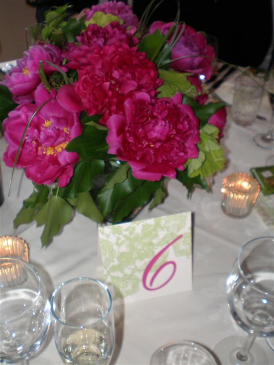 AMGBride2008