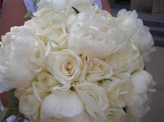 AMGBride2008