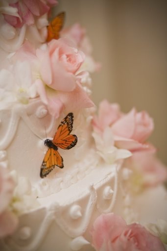 MayWeddingGrl