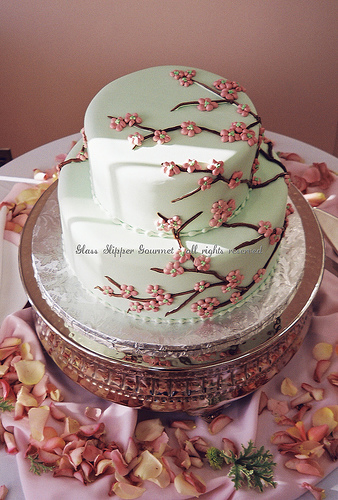 CherryBlossombride