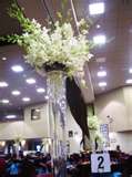 weddnr