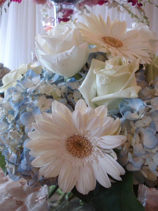 BeccaJo