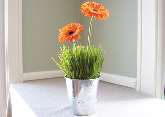 mls282