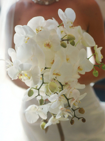 sumerbride09