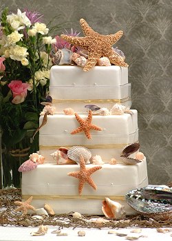 sumerbride09