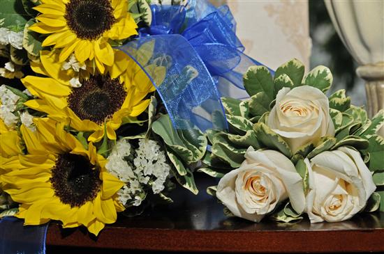 sunflower3223