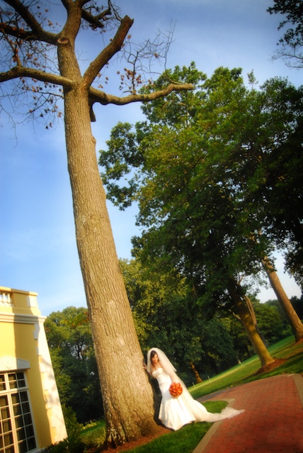 bride-in-training08