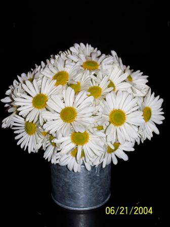 FLaCaTaCa