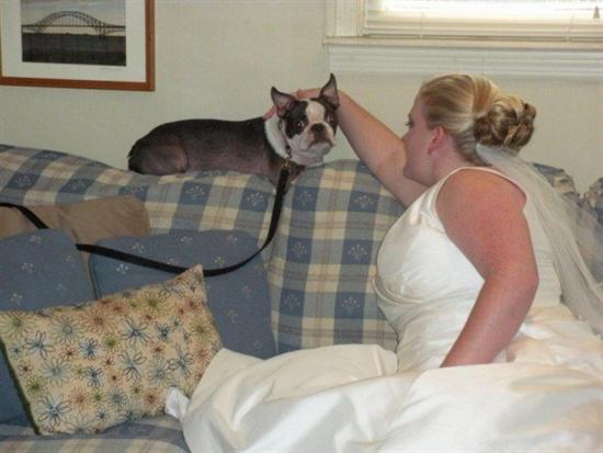 AMGBride2008