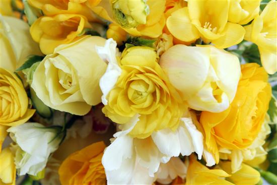 ambre