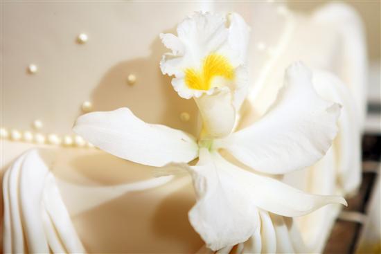 ambre