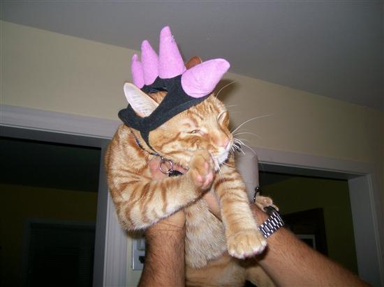stinenandy2010