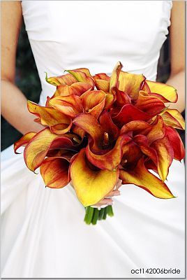 Bimbalina