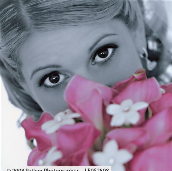 FallBride2010