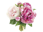 jen919ifer