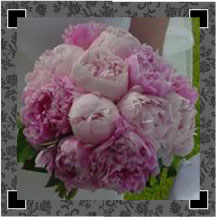 jen919ifer