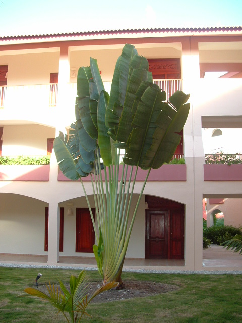 mRm2008