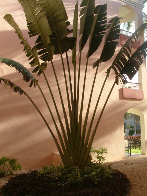 mRm2008