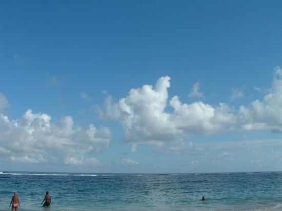 mRm2008