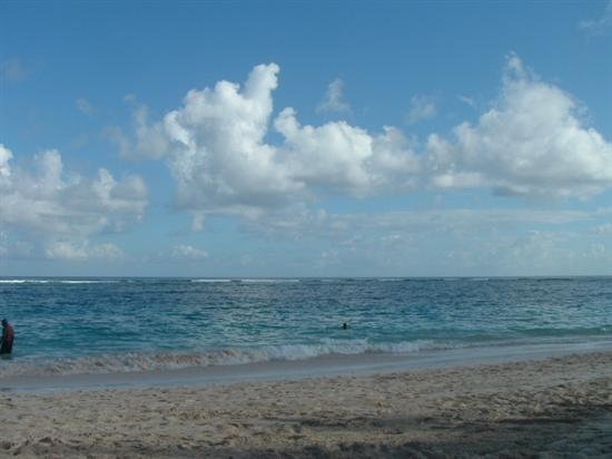 mRm2008