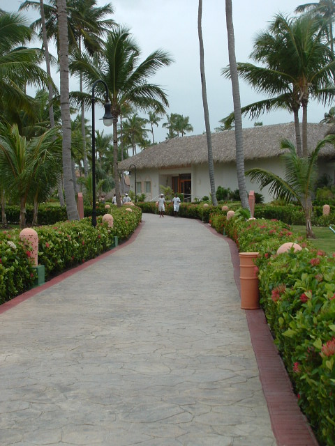 mRm2008