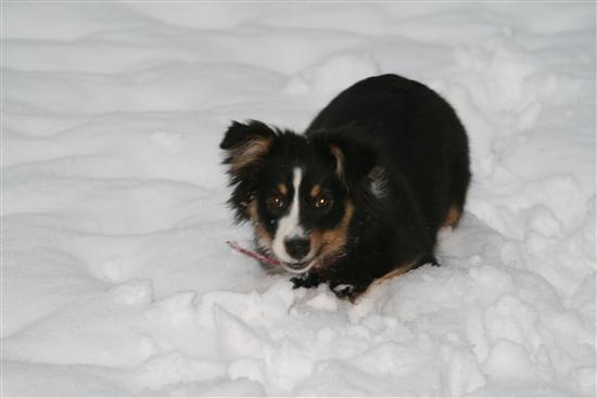 snowa5