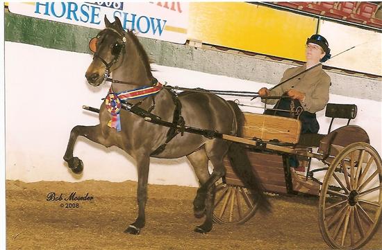 mRm2008
