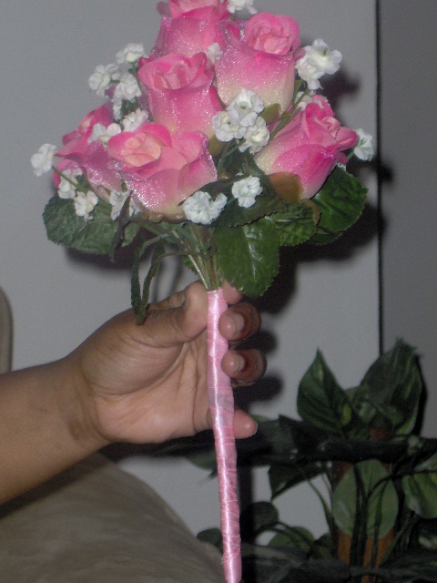 missjones2007