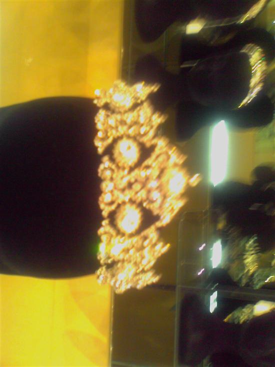 alisha2010