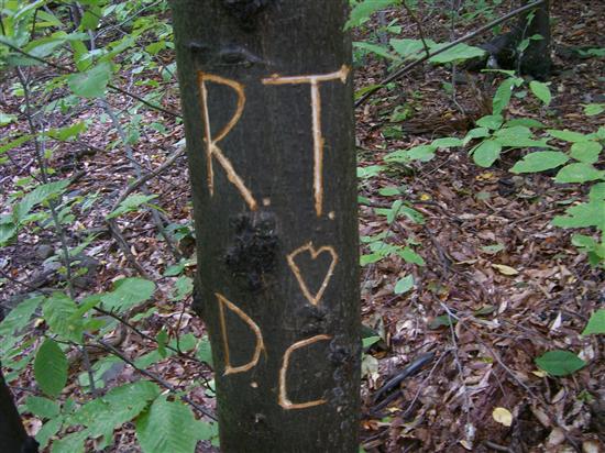 rudydana