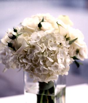 aliwnec10