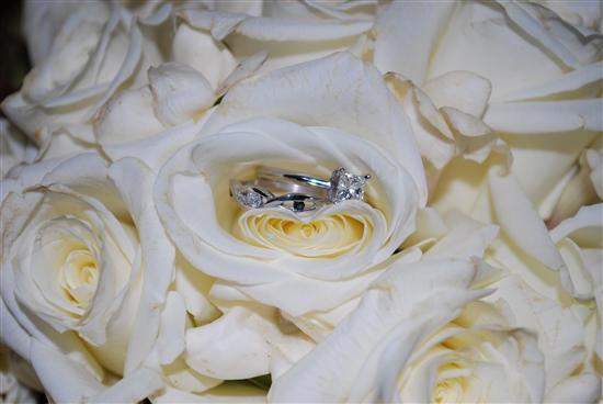 AMGBride2008