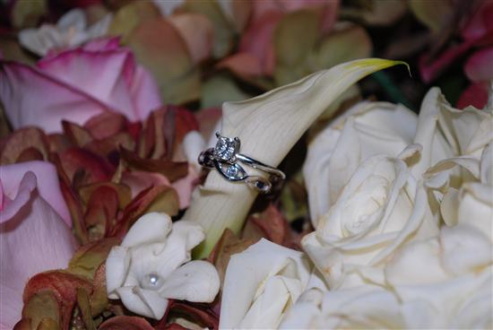 AMGBride2008