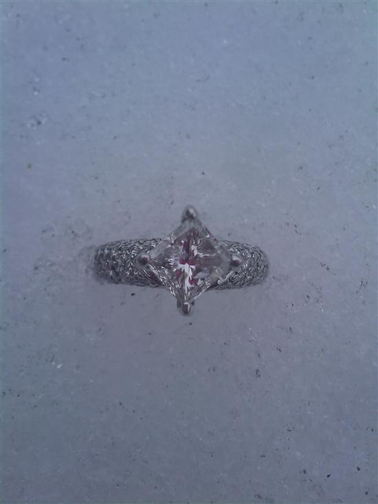 Beautifly