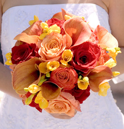 NYYankeeGirl72
