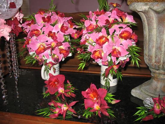 BAL5-9-05