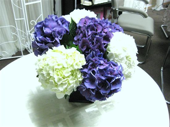 FloridaGal