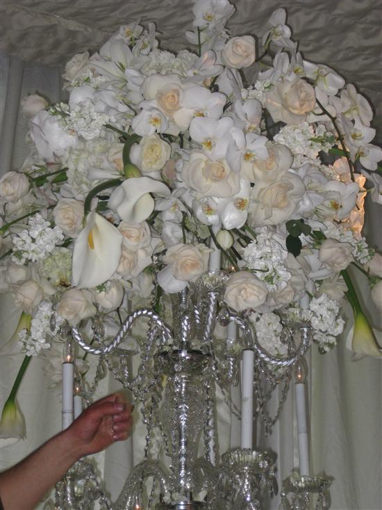 elysemichelle